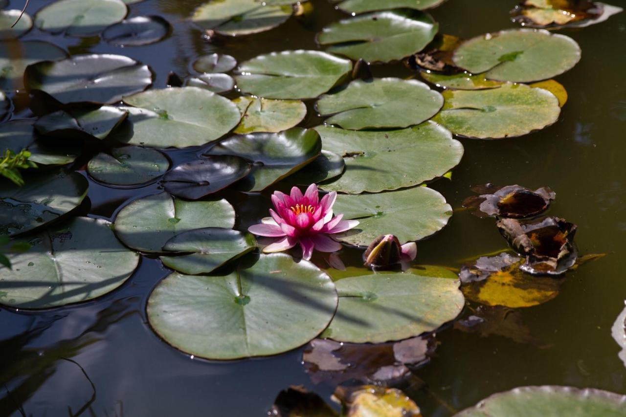 La Varangue Лакано Экстерьер фото